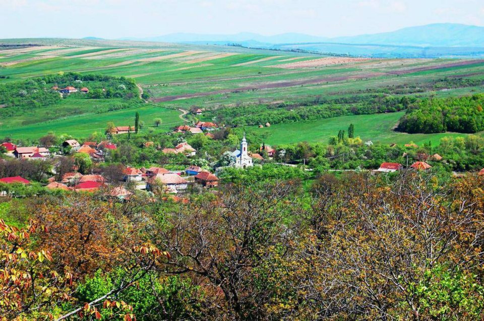 Obiectivele generale